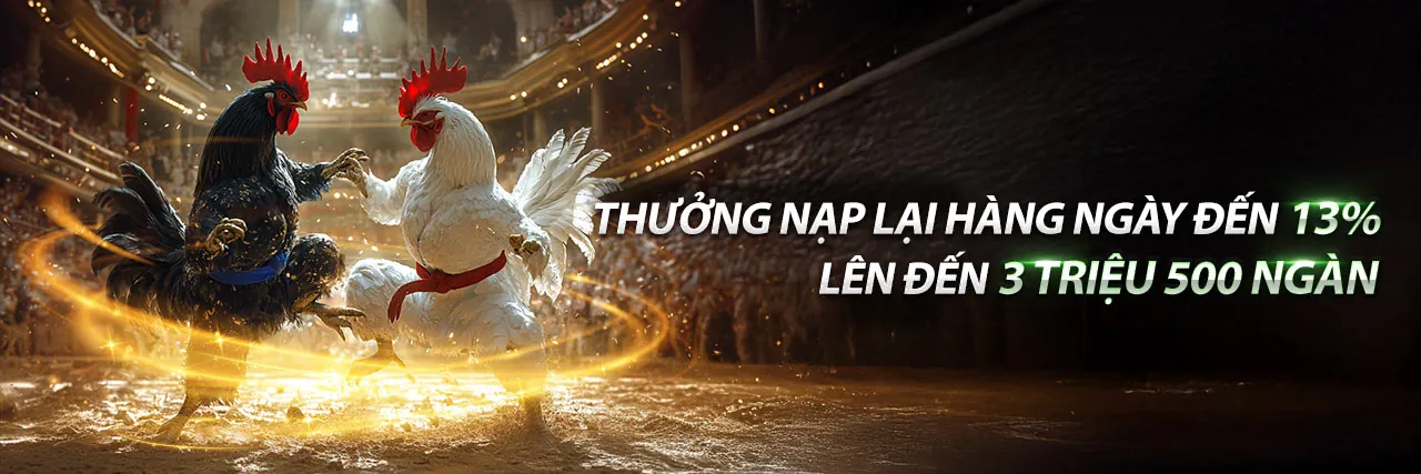 Đá Gà Trực Tuyến Hala6 Link Mới 2026 - Sân Chơi Đỉnh Cao